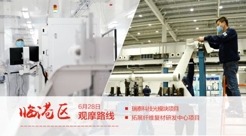 数码浪潮中的硬核支撑 威海双招双引观摩下的科技突围